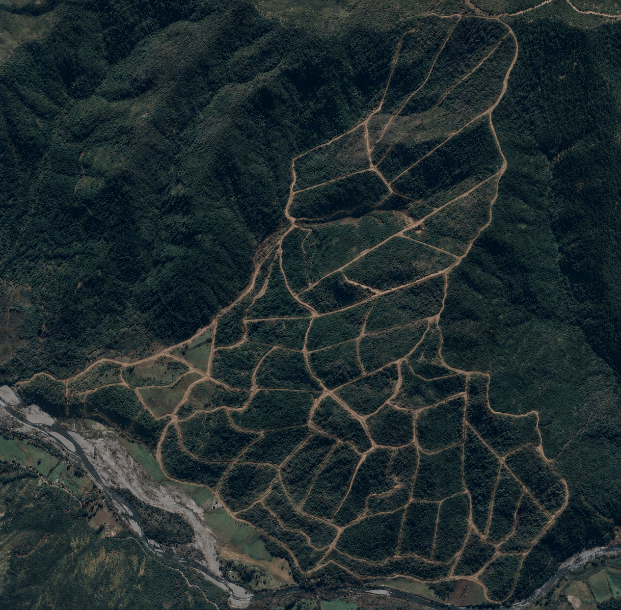 Vista aérea de la red de senderos de Reserva Alto Arrayán